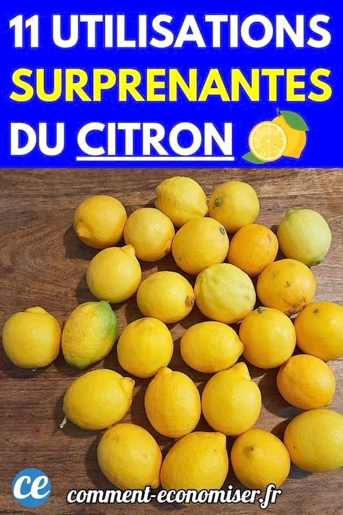 Plusieurs citrons jaunes posés sur une table en bois.