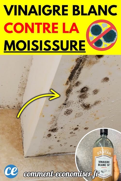 Une paroi murale couverte de taches de moisissure noire.