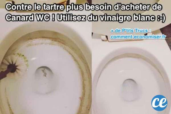 Toilettes sales puis propres après nettoyage au vinaigre blanc.