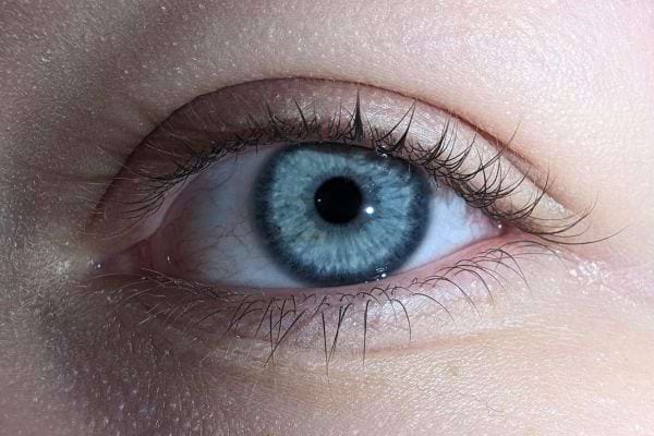 Zoom sur un œil bleu clair.