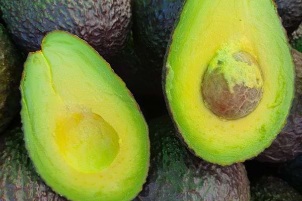 Avocats mûrs, un coupé en deux.