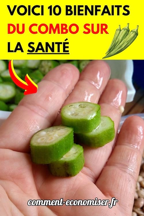 Des morceaux de gombo sur une main avec du gluant