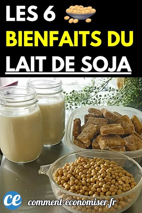 Deux bocaux de lait de soja posés sur une table en inox, à côté d’un bol de graines de soja sèches et d’un récipient contenant des morceaux de soja texturé. 