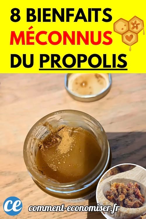 Petit pot contenant du propolis mélangé à du miel, avec un couvercle posé à côté. En bas à droite, une cuillère de propolis brute.