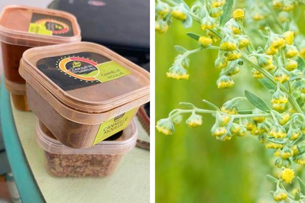 Boîtes de cannelle et plante d’absinthe.