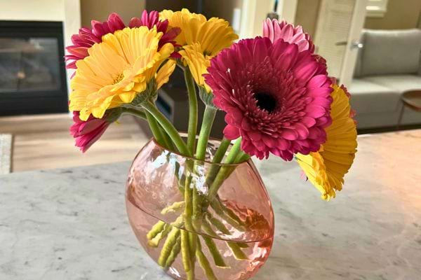 Bouquet coloré de gerberas dans un vase rond.