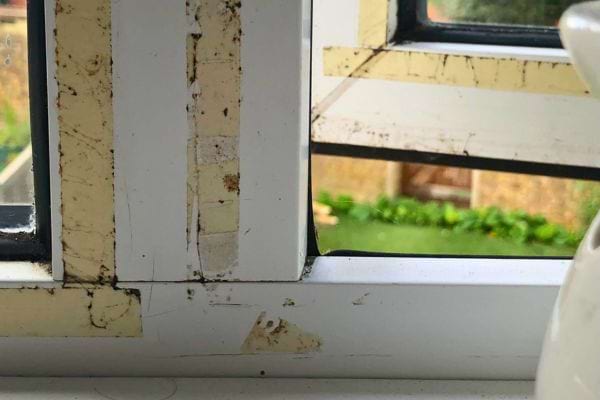 Cadre de fenêtre taché et jauni.