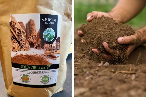 Sachet de cannelle bio et main tenant du terreau.