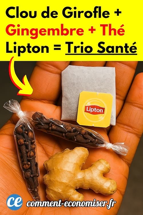 Des clous de girofle, du gingembre et un sachet de thé Lipton pour améliorer la santé