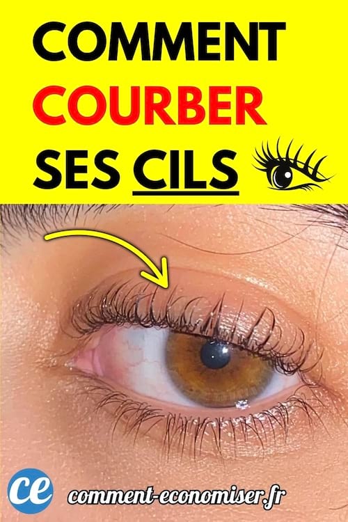 Œil brun avec des cils recourbés vers le haut, flèche indiquant les cils.