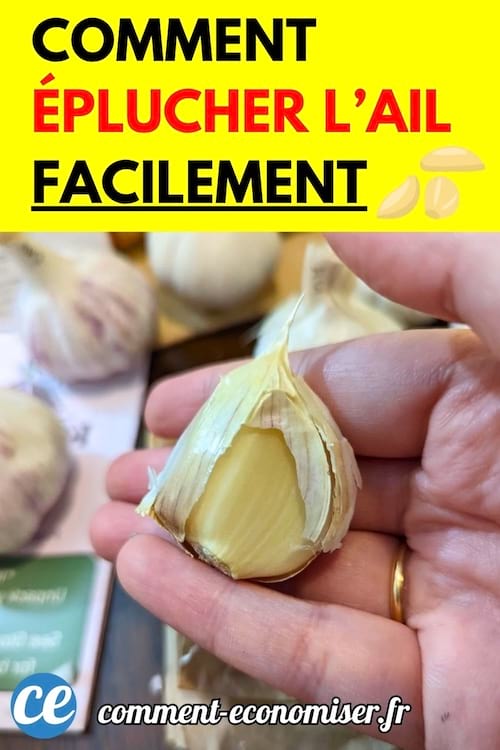 Une main tient une gousse d’ail dont la peau est partiellement retirée, illustrant une astuce pour éplucher l’ail facilement.