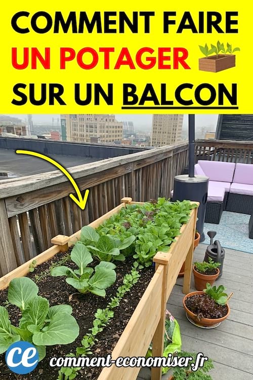 Jardin surélevé en bois rempli de légumes verts cultivés sur un balcon urbain avec vue sur des immeubles.