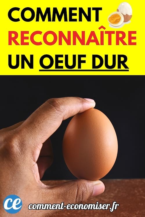 Une main tient un œuf brun au-dessus d’une surface sombre, illustrant une astuce pour savoir si un œuf est dur ou cru.