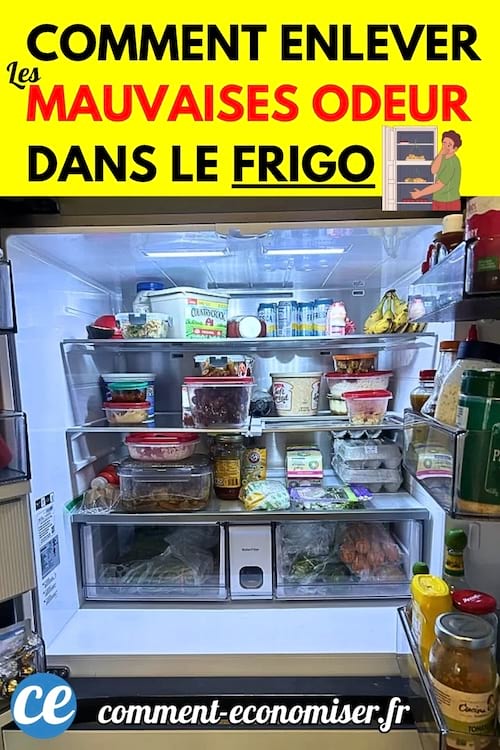 Réfrigérateur ouvert rempli de divers aliments rangés dans des boîtes et contenants.