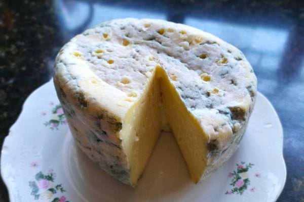 Fromage affiné moisi.