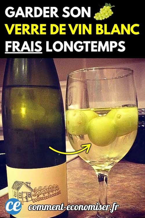 Verre de vin blanc contenant des raisins verts utilisés comme glaçons, placé à côté d'une bouteille de vin blanc.