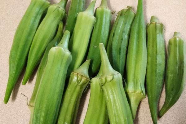 Gombos crus bien verts posés sur une table.