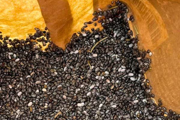 Des graines de chia noires prêtes à être utilisées.
