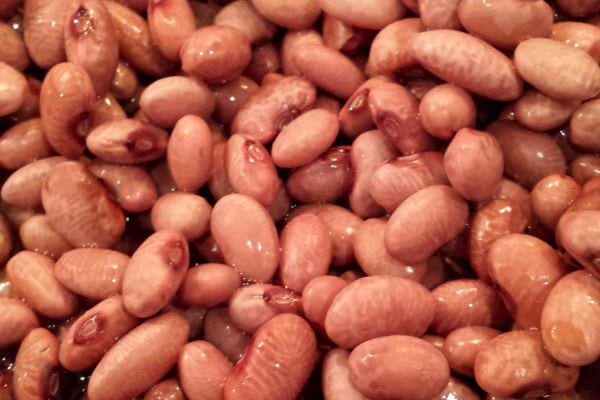 Haricots rouges crus trempés dans l’eau.