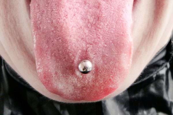 Langue bien tirée avec un piercing boule argentée