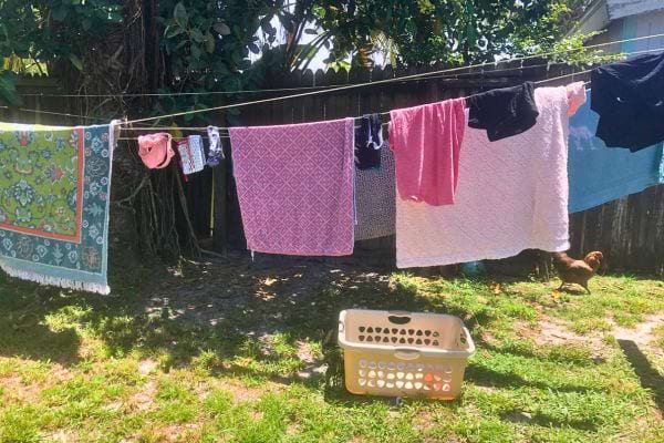 Linge suspendu dehors avec panier au sol et poule à l’arrière.