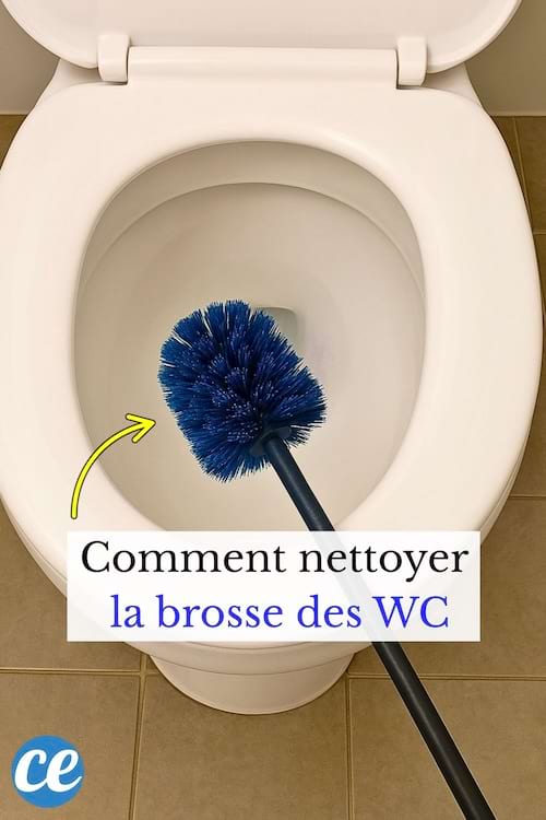 Brosse de toilettes bleue placée dans la cuvette d’un WC blanc.