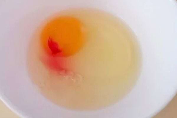 Œuf cru avec une petite tache rouge dans un bol blanc.