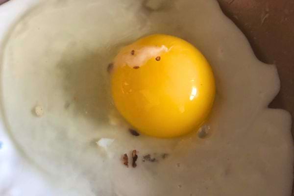 Œuf cuit avec des points noirs sur le blanc.