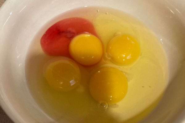 Quatre œufs cassés dont un avec une tache rouge sang.