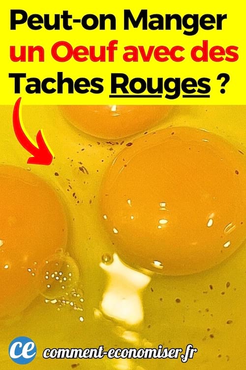 Des oeufs avec des taches de sang et rouges dessus