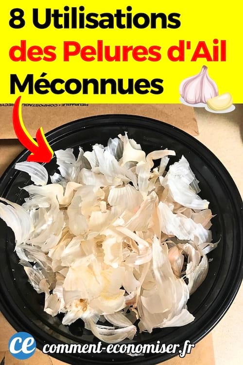 Des pelures d'ail blanches dans un bol noire à utiliser 