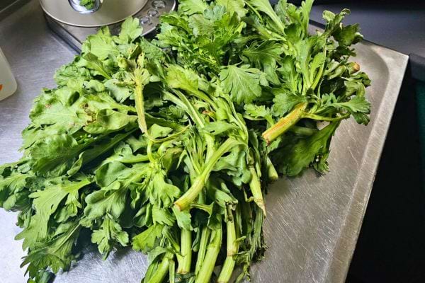 Du persil frais posé sur un évier inox.