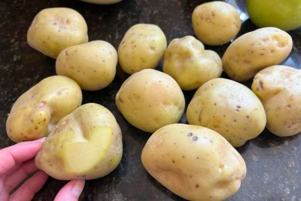 Pommes de terre lavées sur un plan de travail.