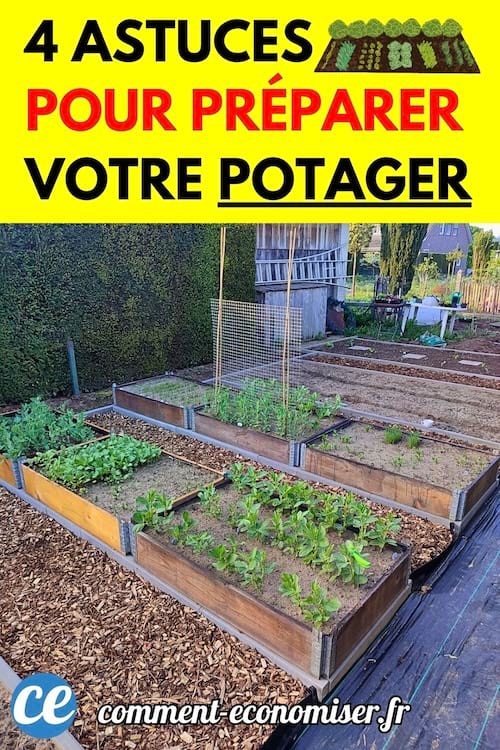 Carrés potagers bien entretenus dans un jardin, avec plusieurs cultures en croissance dans des bacs en bois alignés. Une allée en copeaux de bois sépare les rangées.