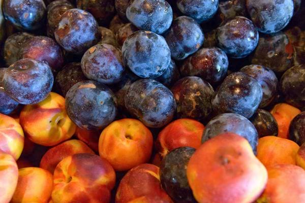 Prunes et pêches mûres.