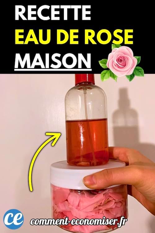 Flacon d’eau de rose fait maison tenu au-dessus d’un pot contenant des pétales de rose.