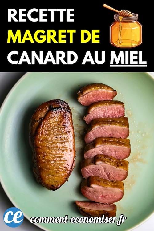 Magret de canard rôti au miel, tranché dans une assiette verte.