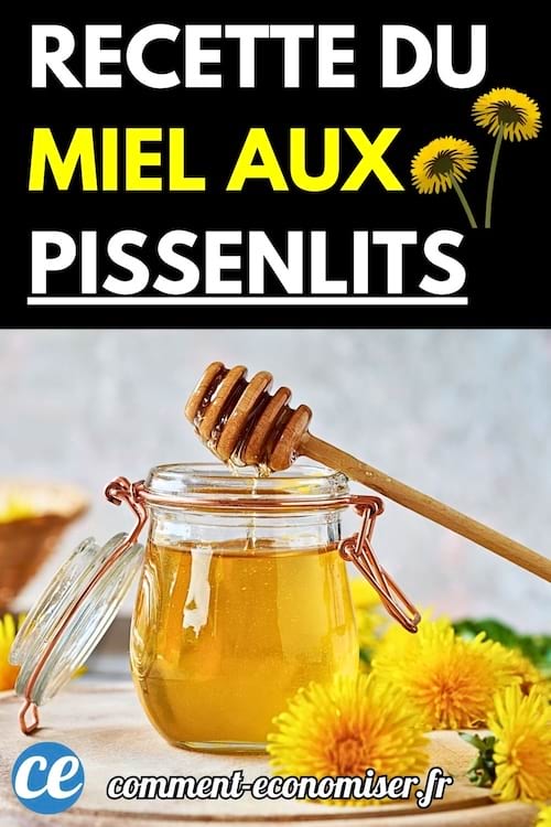 Pot de miel entouré de fleurs de pissenlit jaunes.