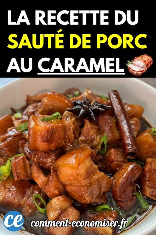 Bol de sauté de porc au caramel garni d’étoile de badiane, cannelle et ciboule.
