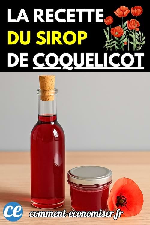 Bouteille en verre et pot contenant un sirop rouge vif, posés sur une table, avec un coquelicot rouge en décoration.