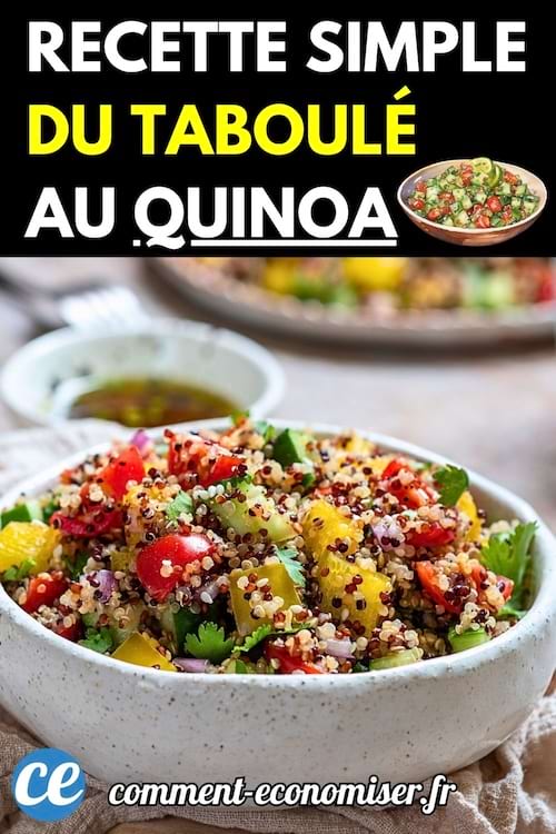 Bol de taboulé au quinoa coloré, composé de tomates cerises, poivrons jaunes, concombres, oignons rouges et coriandre.