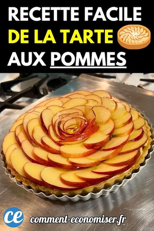 Tarte aux pommes en forme de rose avec des lamelles de pommes rouges sur une pâte cuite.