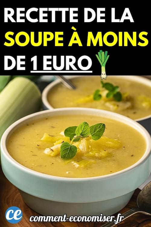 Bol de soupe crémeuse maison décorée de feuilles de menthe et de morceaux de poireau, posé sur une table en bois.