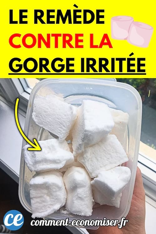 Main tenant une boîte en plastique remplie de gros morceaux de guimauves blanches.