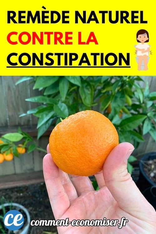 Une main tient une orange juteuse devant un oranger dans un jardin, illustrant un remède naturel contre la constipation.
