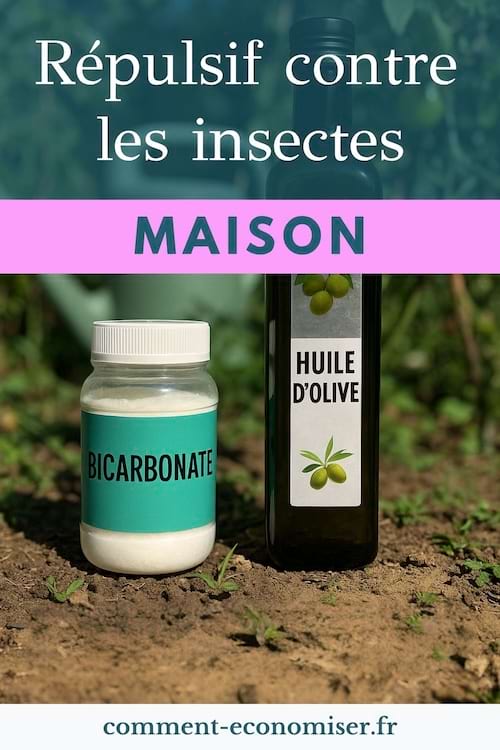 Un pot de bicarbonate de soude et une bouteille d’huile d’olive posés sur la terre dans un jardin.
