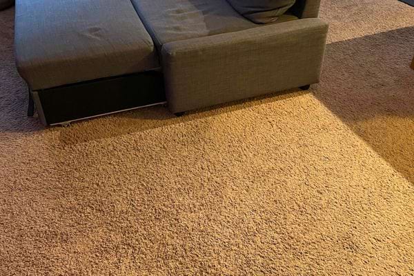 Tapis beige sous un canapé gris, probablement nettoyé.