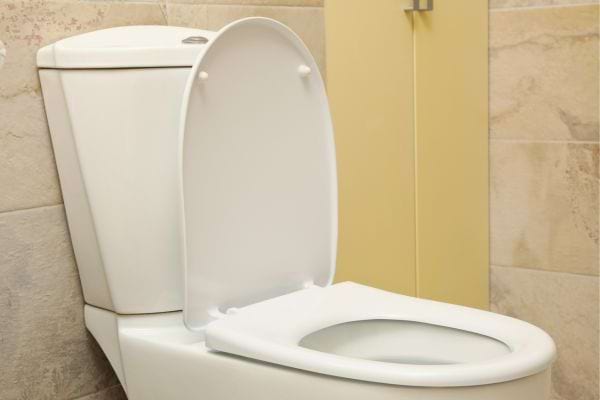 Toilettes classiques propres avec l’abattant relevé.