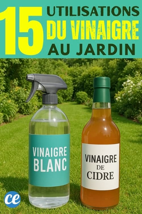 Bouteille de vinaigre blanc avec spray et bouteille de vinaigre de cidre posées sur une pelouse dans un jardin verdoyant.