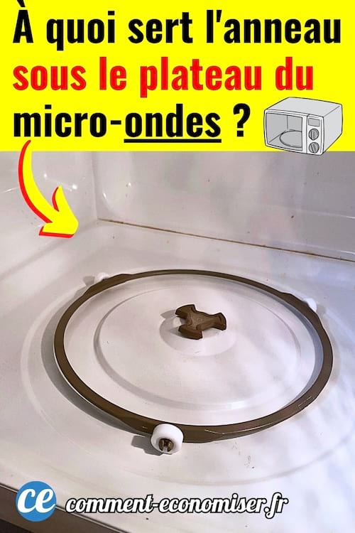 Le petit support en plastique sous le plateau en verre d'un micro-ondes.